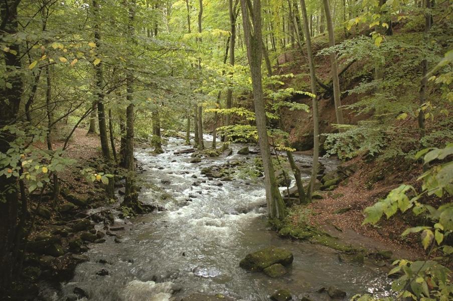 Hof Elbbachtal Westerburg (Rhineland-Palatinate)
