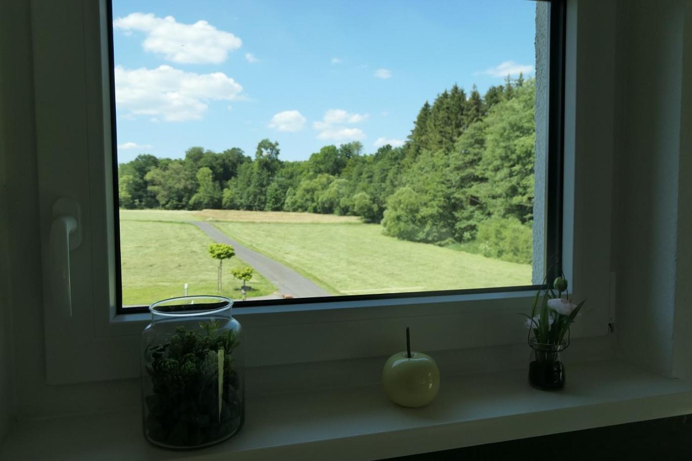 Apartment Hof Elbbachtal Westerburg (Rhineland-Palatinate)